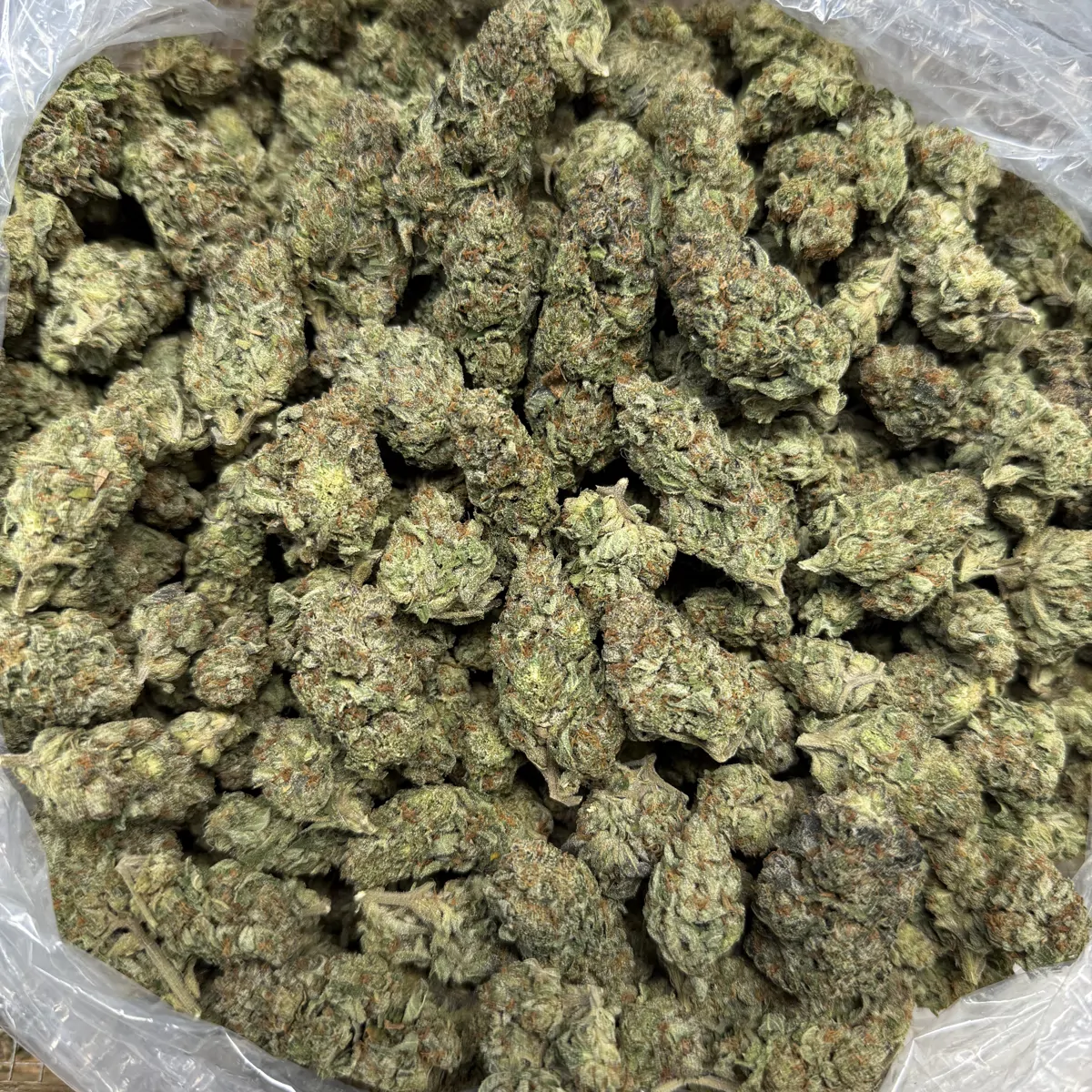 Black Cherry Soda Flower